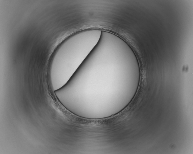 X0000113920578200909241331