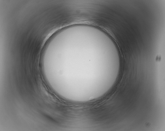 X0000113920579200909241331