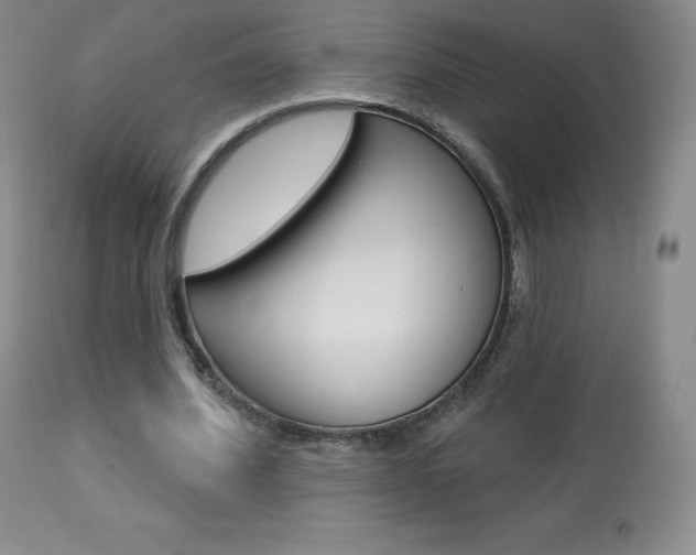 X0000113920580200909241331