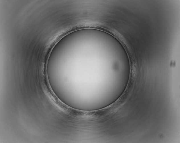 X0000113920581200909241331