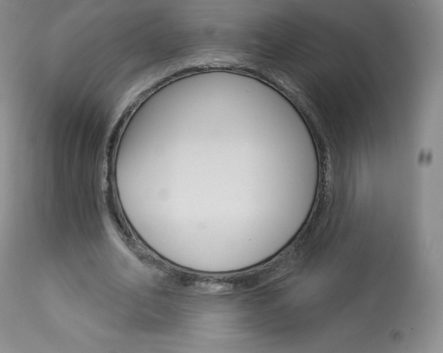 X0000113920582200909241331