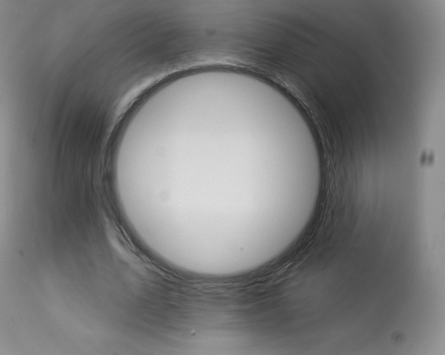 X0000113920583200909241331