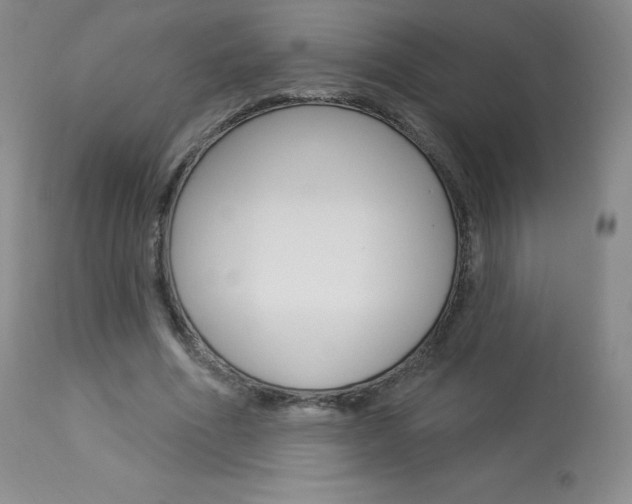 X0000113920586200909241331