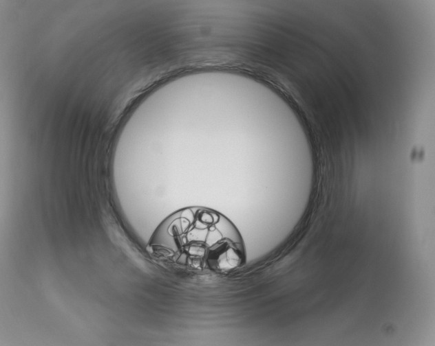 X0000113920589200909241331