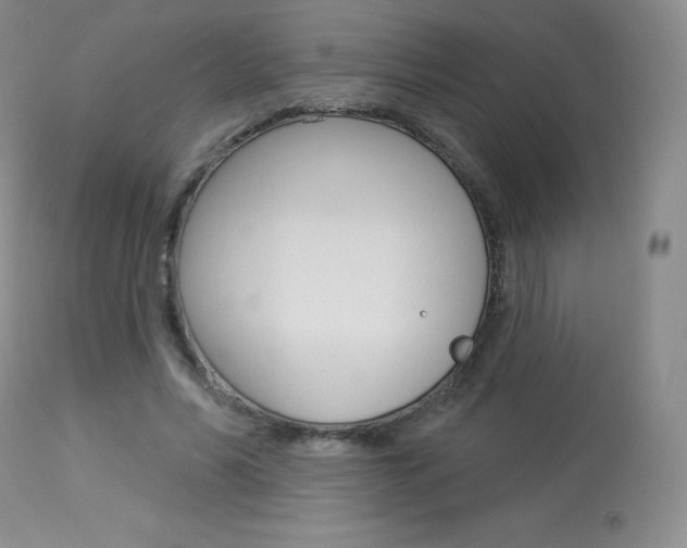 X0000113920590200909241331