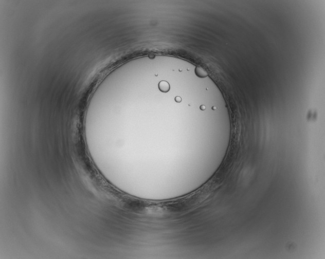 X0000113920591200909241331