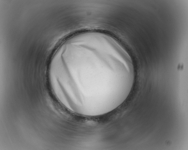 X0000113920592200909241331