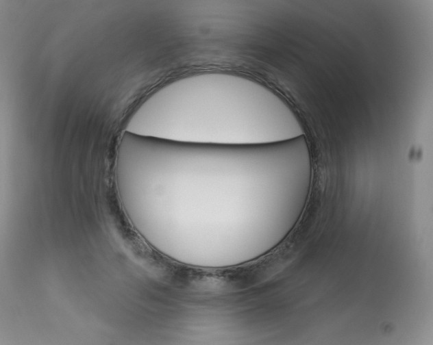 X0000113920594200909241331
