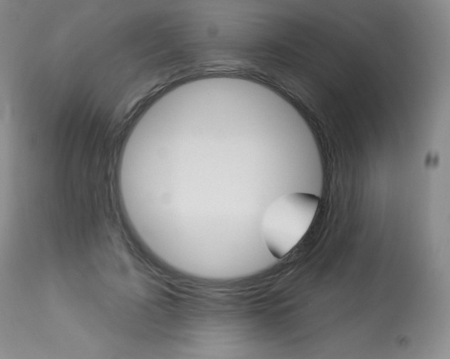 X0000113920595200909241331