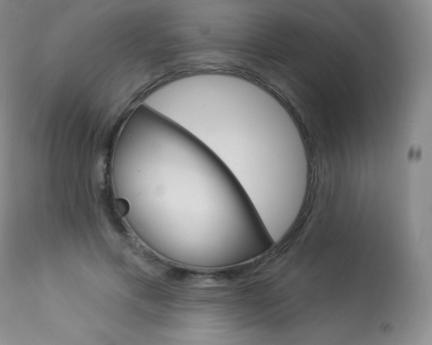 X0000113920597200909241331
