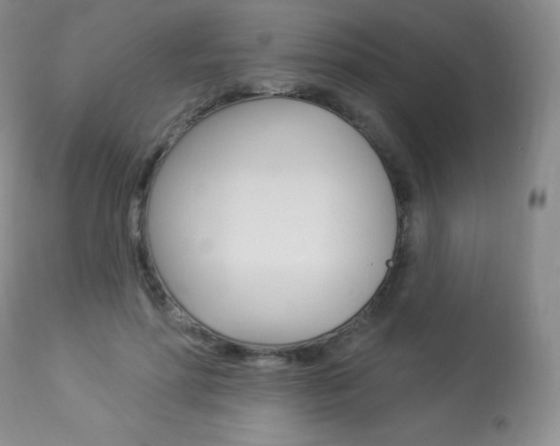 X0000113920598200909241331