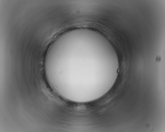 X0000113920600200909241331