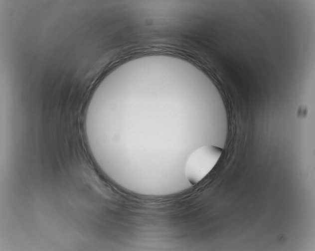 X0000113920601200909241331