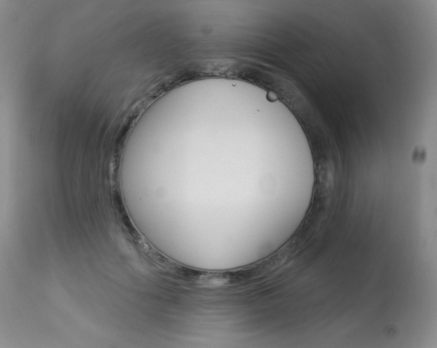 X0000113920602200909241331
