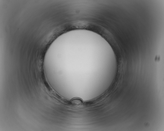 X0000113920604200909241331