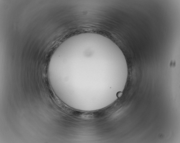X0000113920606200909241331