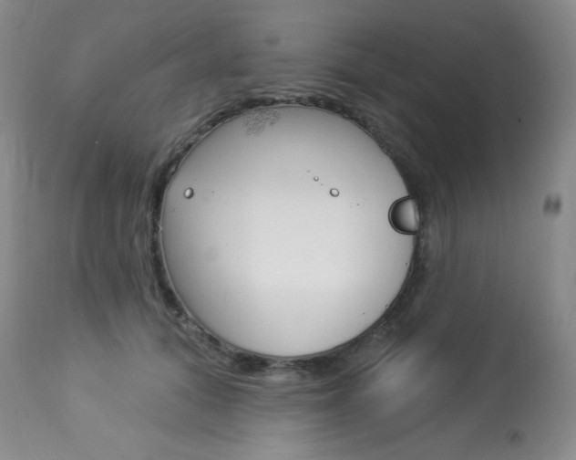 X0000113920608200909241331