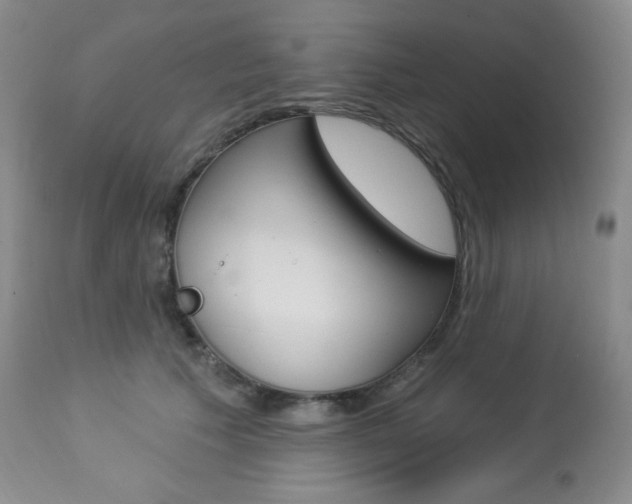 X0000113920609200909241331