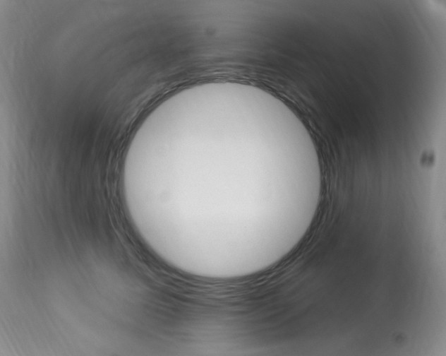 X0000113920611200909241331