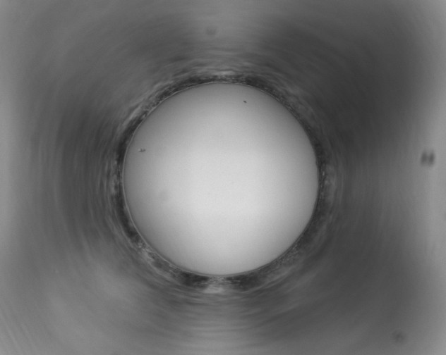 X0000113920612200909241331
