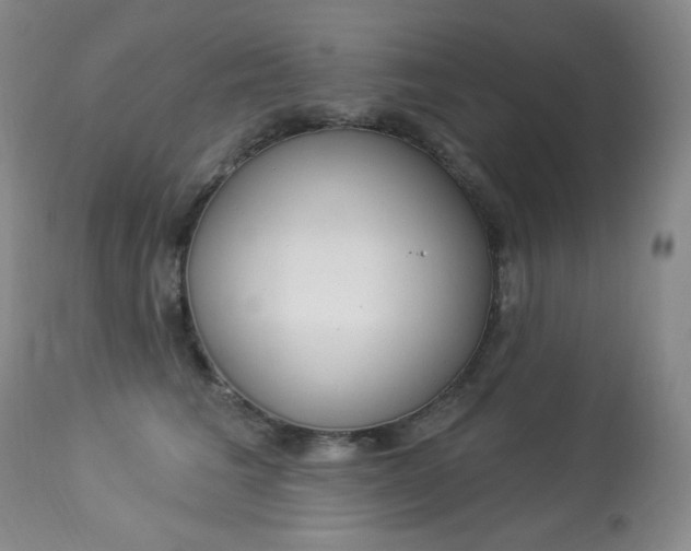 X0000113920613200909241331