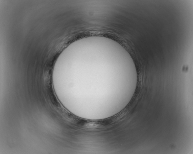 X0000113920614200909241331
