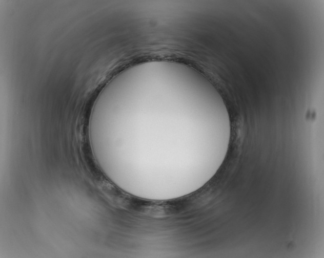 X0000113920615200909241331