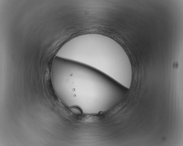 X0000113920617200909241331