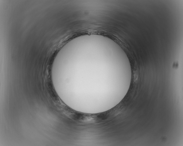 X0000113920618200909241331