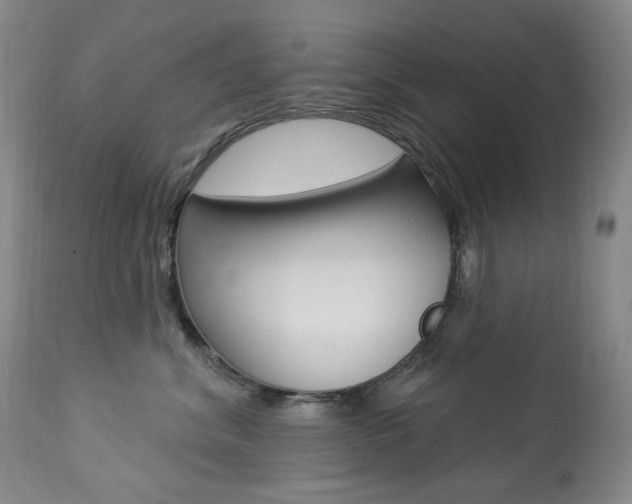 X0000113920620200909241331