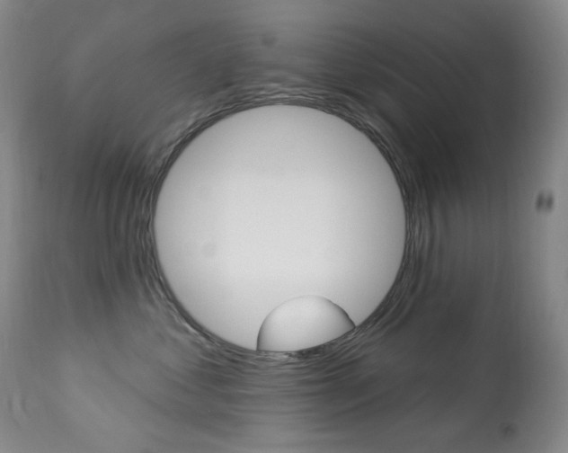 X0000113920621200909241331