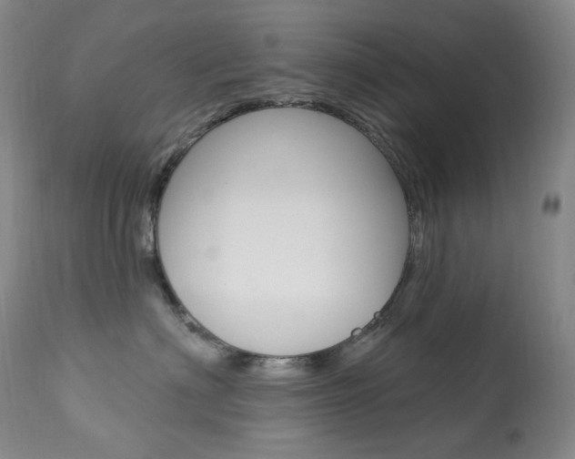 X0000113920622200909241331