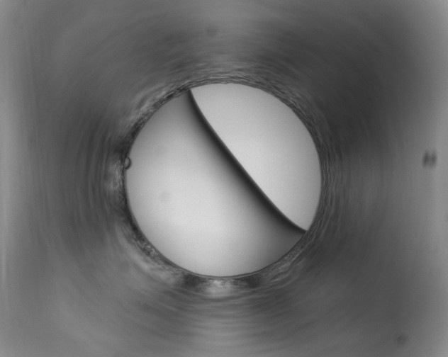 X0000113920623200909241331