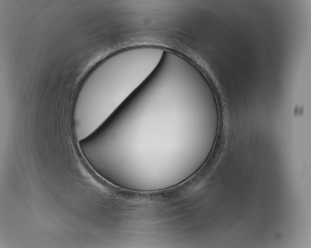 X0000113920625200909241330