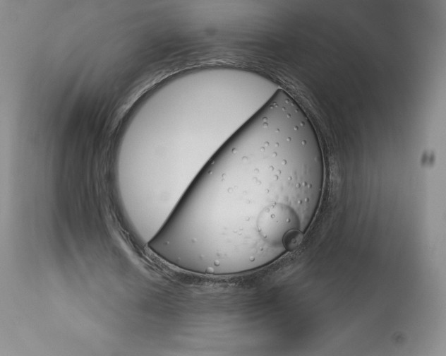 X0000113920626200909241330