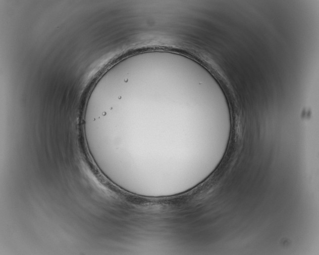 X0000113920629200909241330