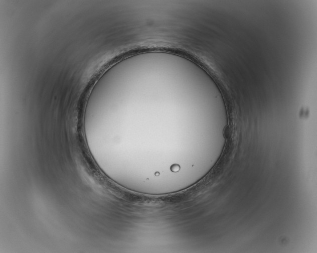 X0000113920631200909241330