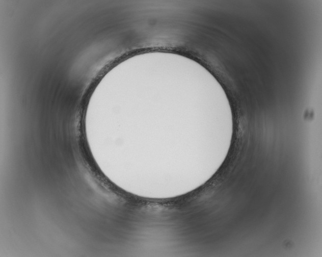 X0000113920632200909241330