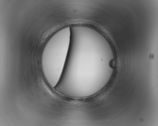 X0000113920633200909241330