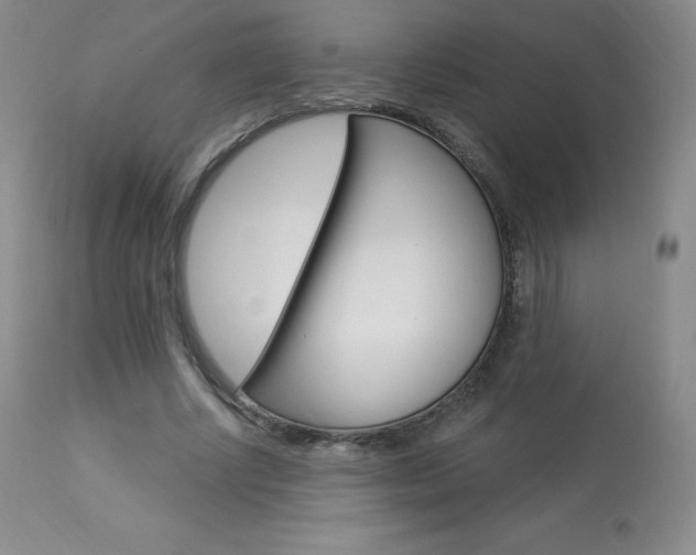 X0000113920634200909241330