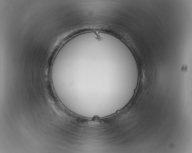 X0000113920636200909241330