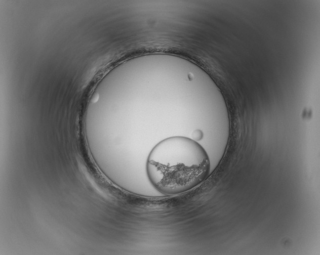 X0000113920638200909241330