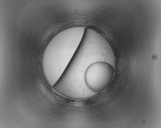 X0000113920639200909241330