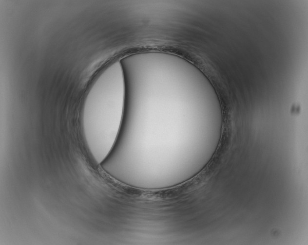 X0000113920640200909241330