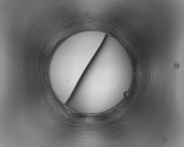 X0000113920641200909241330