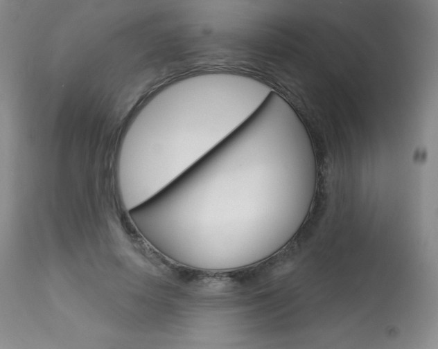 X0000113920642200909241330