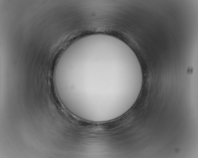 X0000113920643200909241330