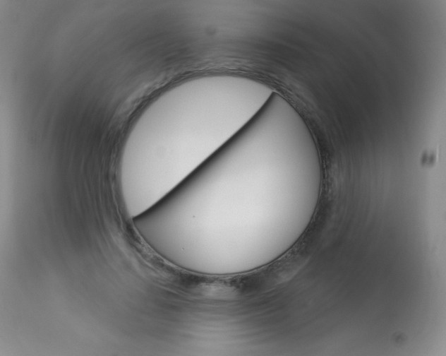 X0000113920644200909241330