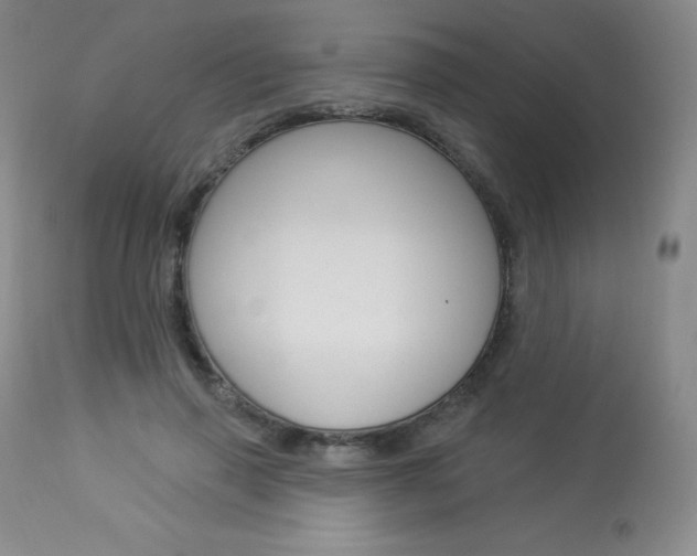X0000113920645200909241330