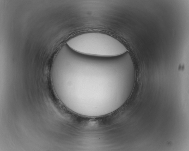 X0000113920647200909241330